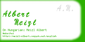 albert meizl business card